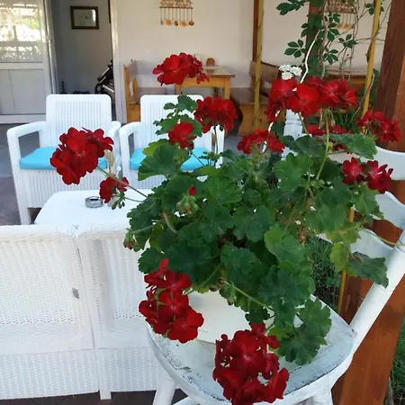 Alba Family Club Hotel