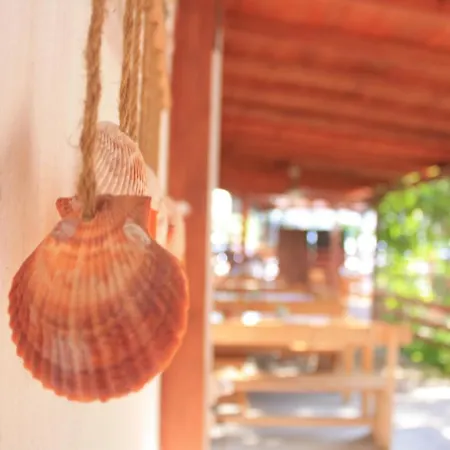 Alba Family Club 普里莫尔斯科