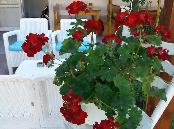 Alba Family Club 酒店