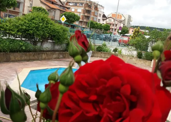 Alba Family Club 酒店 普里莫尔斯科