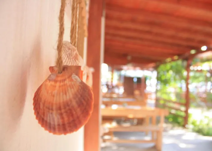 Alba Family Club 普里莫尔斯科