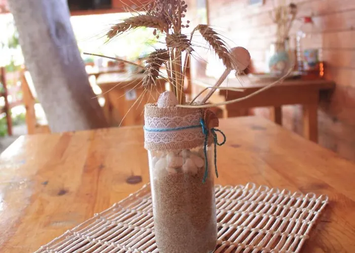 Alba Family Club 酒店