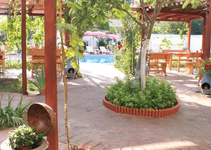 酒店 Alba Family Club 2*