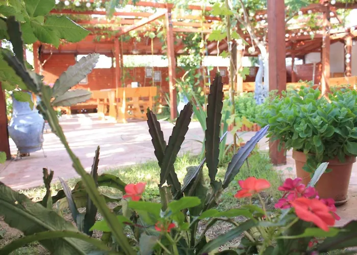 酒店 Alba Family Club 普里莫尔斯科