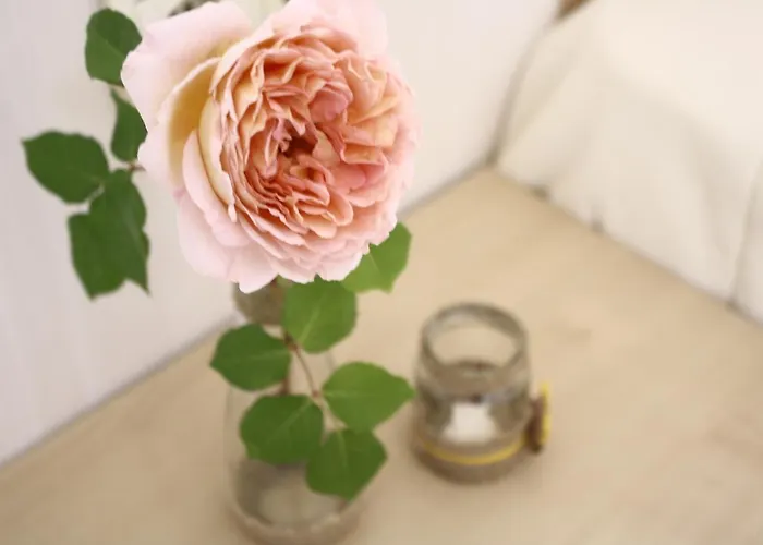 Alba Family Club 普里莫尔斯科