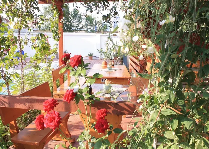 Alba Family Club 2* 普里莫尔斯科