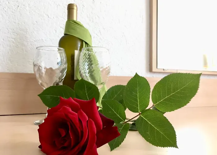 Alba Family Club 普里莫尔斯科