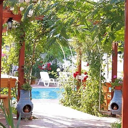 Hotel Alba Family Club 2*