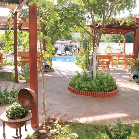 Szálloda Alba Family Club 2*