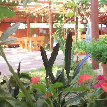 Otel Alba Family Club Primorsko