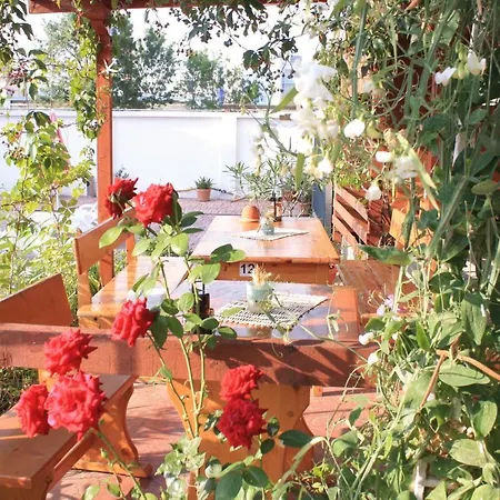 Alba Family Club 2* Primorszko