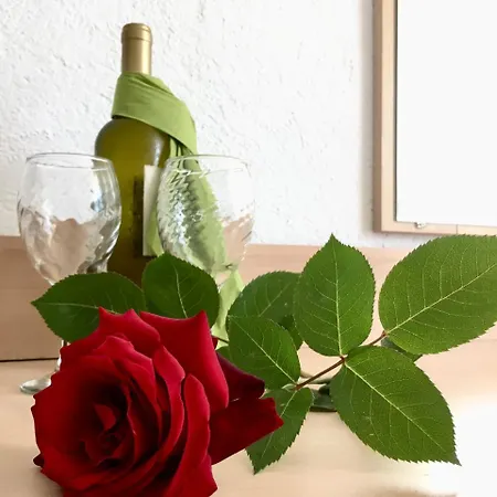 Alba Family Club Primorszko