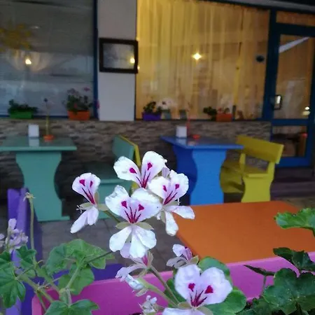 Alba Family Club Szálloda