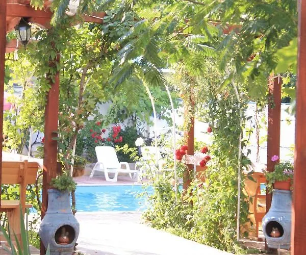 Alba Family Club Hotel